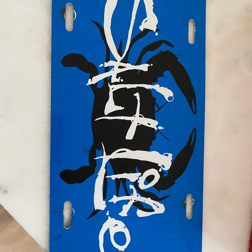 Salt life car tag